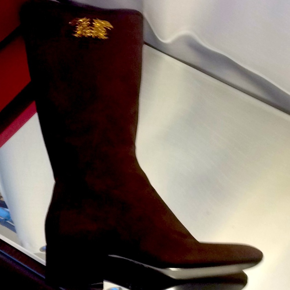Beautiful suede Valentino boots Maison Gryphons